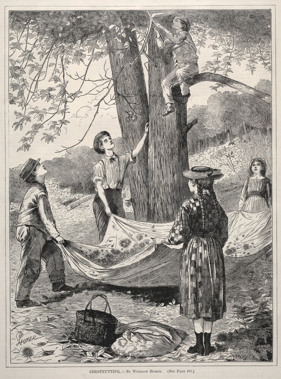 Kastanje, 1870. av Winslow Homer