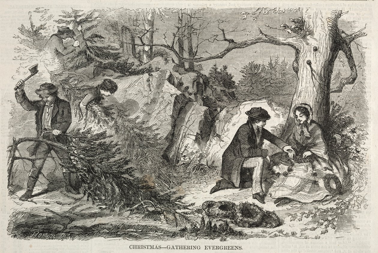 Christmas - Gathering Evergreens, 1858. av Winslow Homer