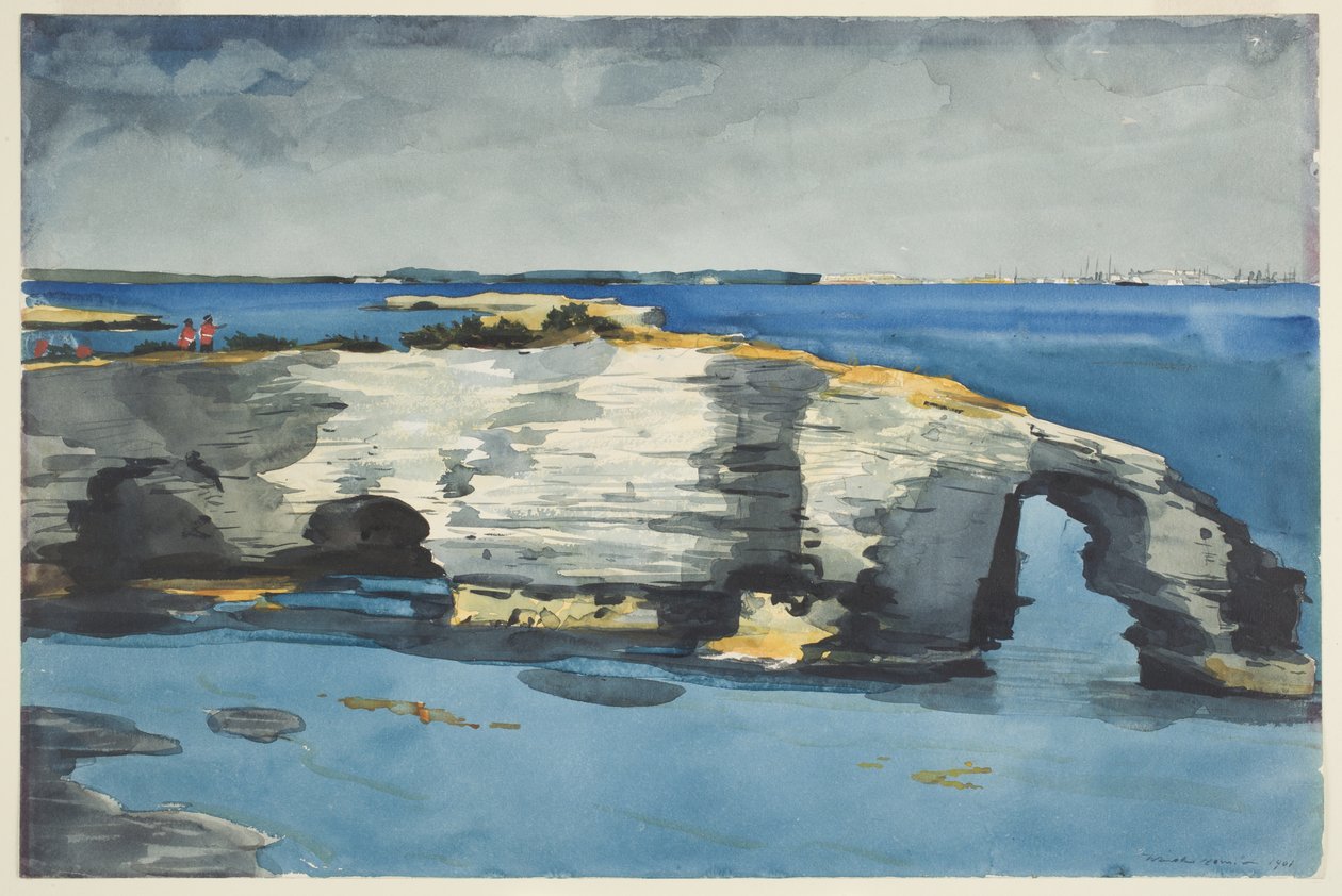 Korallformasjon av Winslow Homer
