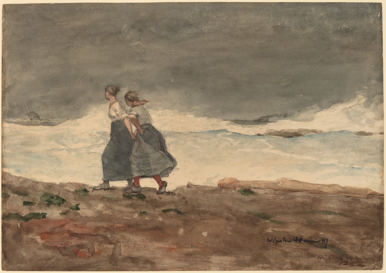 Fare av Winslow Homer