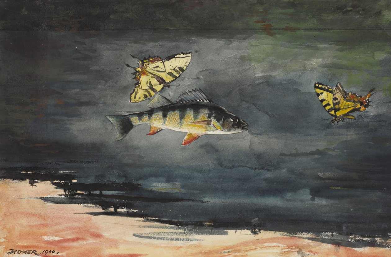 Fisk og sommerfugler, 1900 av Winslow Homer