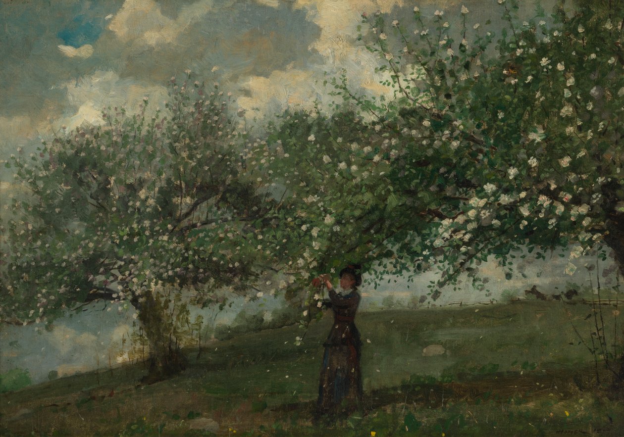 Jente som plukker epleblomster av Winslow Homer