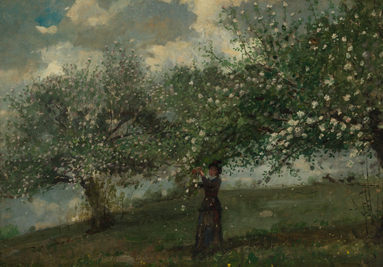 Jente plukker epleblomster, 1879. av Winslow Homer