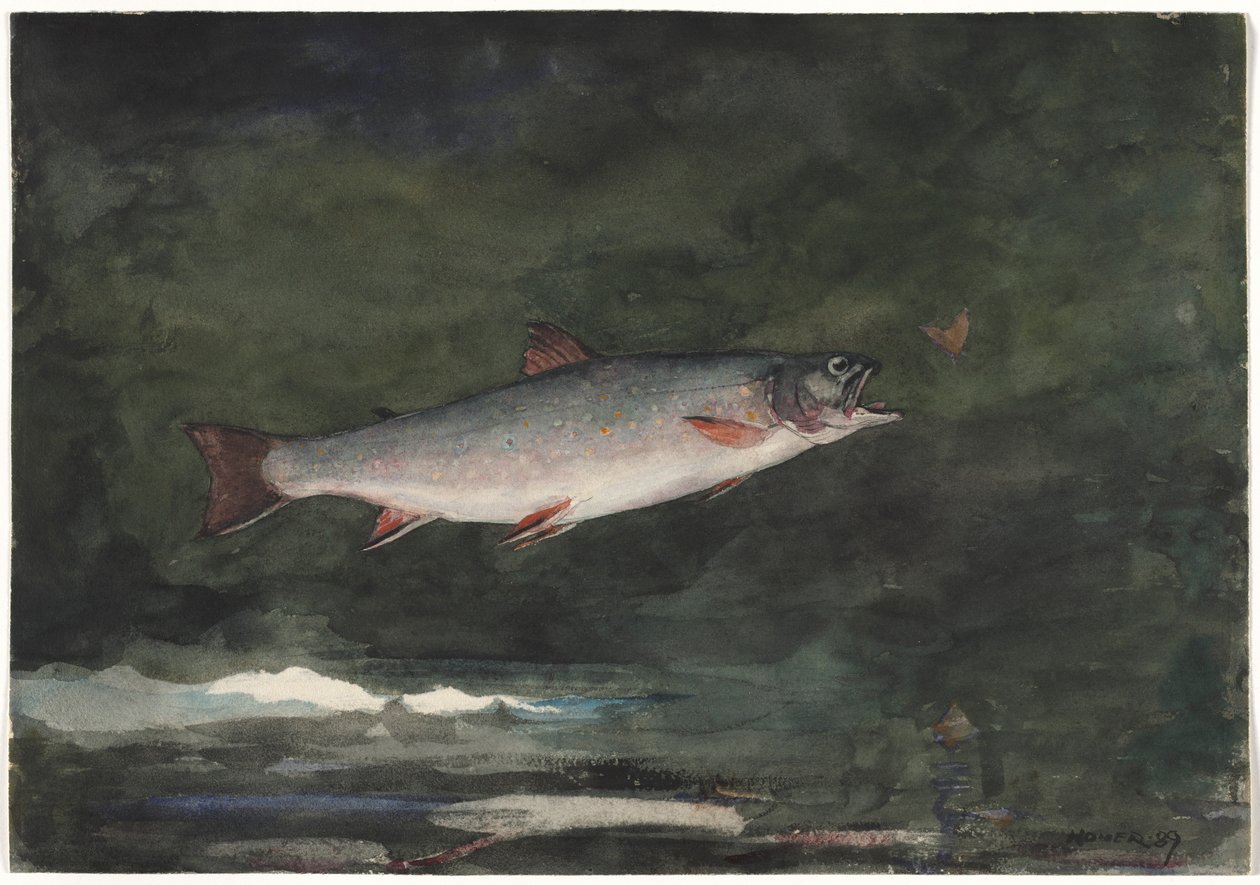 Sprangende ørret, 1889. av Winslow Homer
