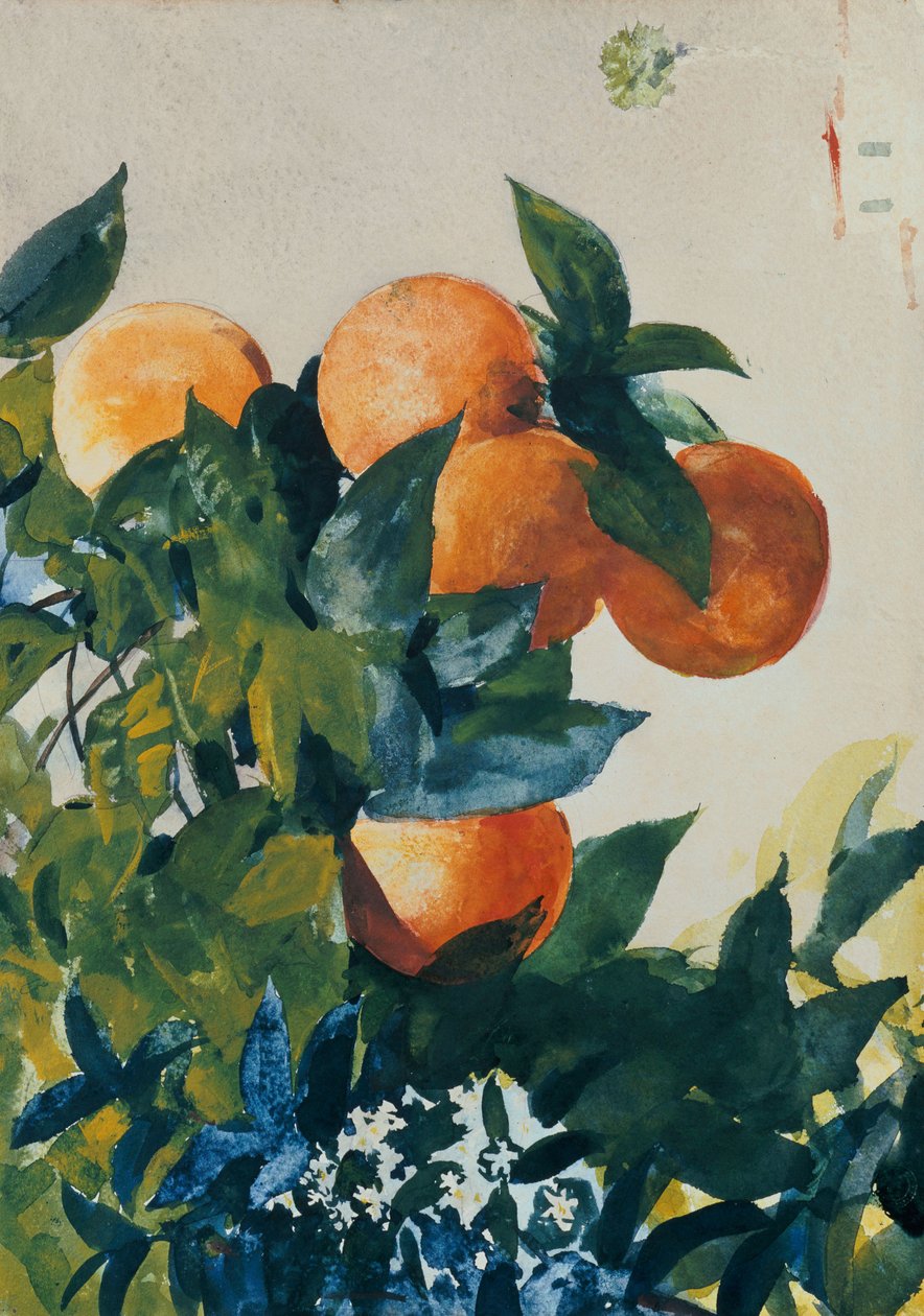 Appelsiner på en gren, 1885 av Winslow Homer