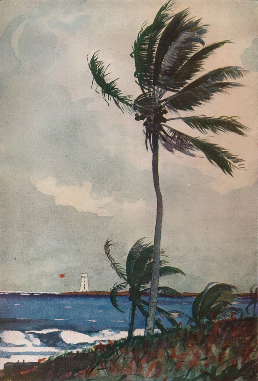 Palmetrær, Nassau, 1898, 1932 av Winslow Homer