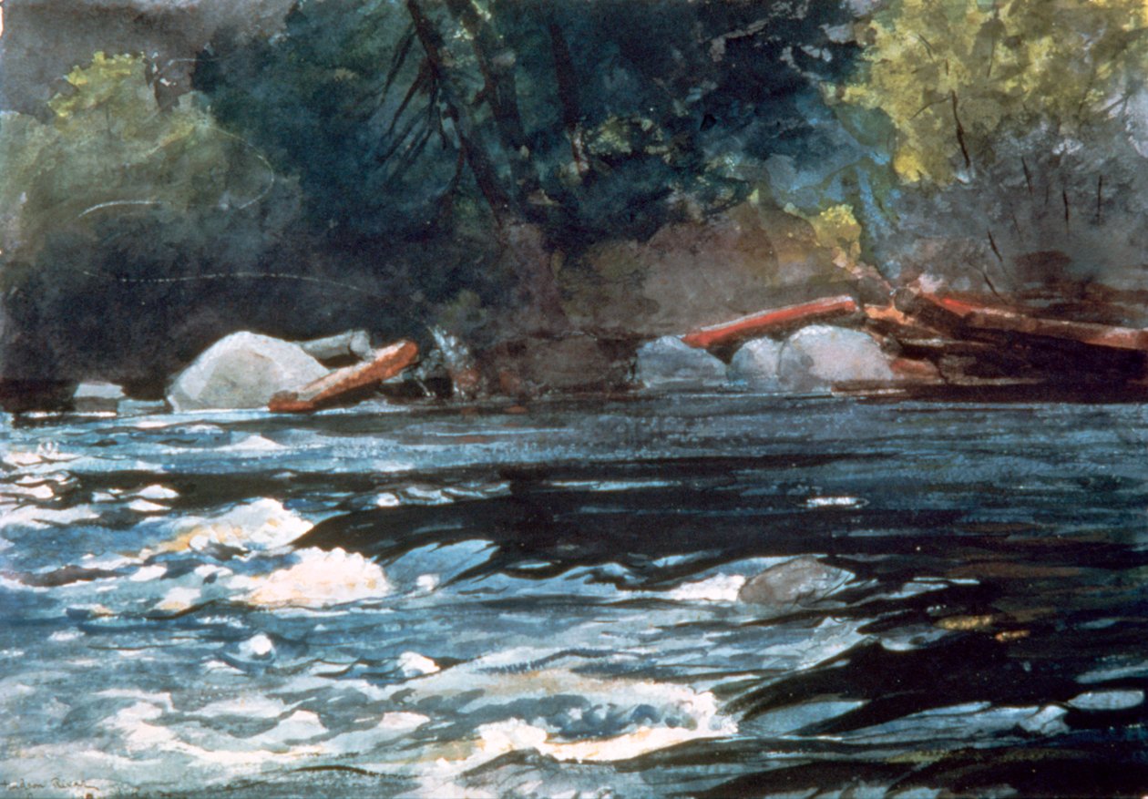 Rapids, Hudson River, 1894 av Winslow Homer