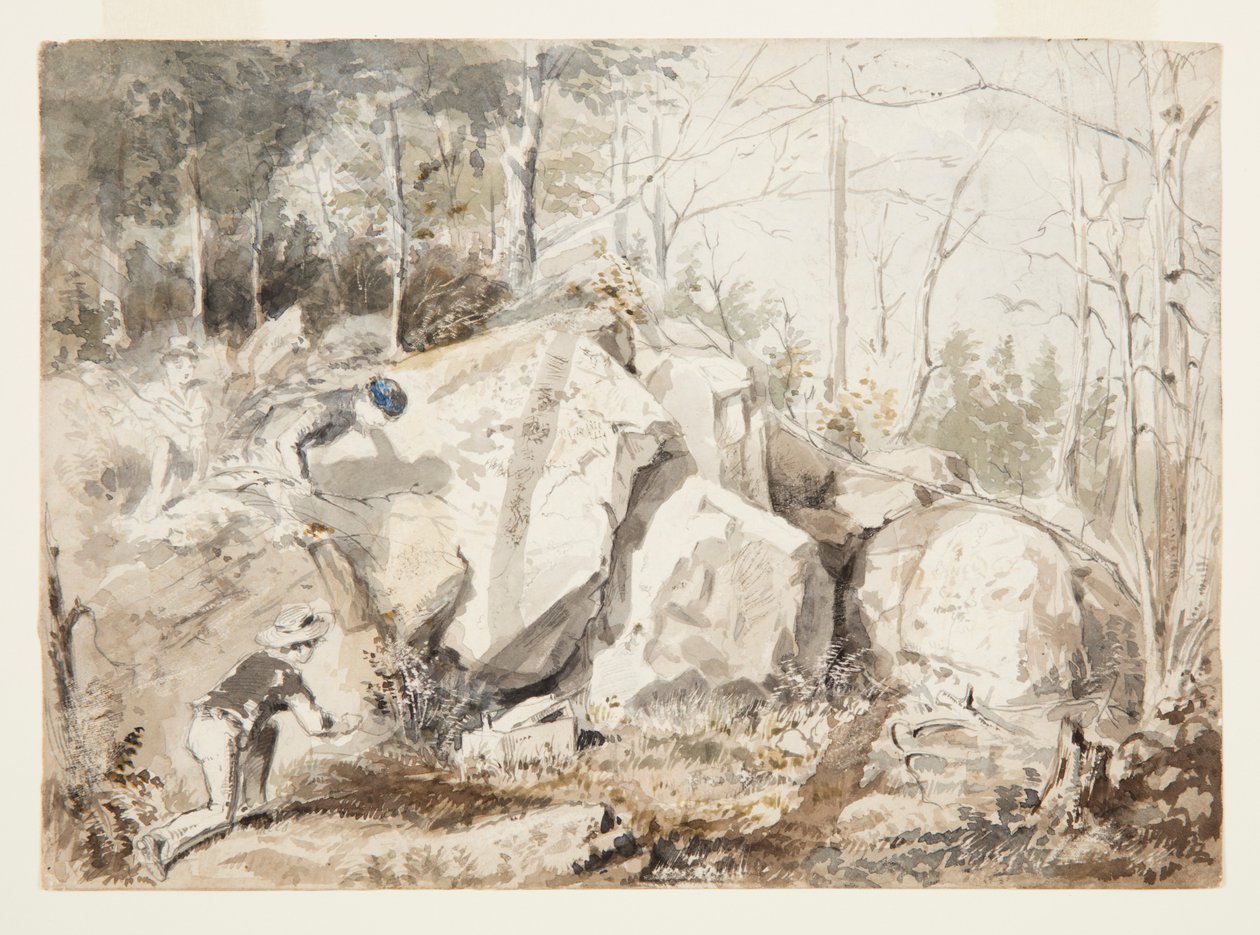 Sette en ekornfelle av Winslow Homer