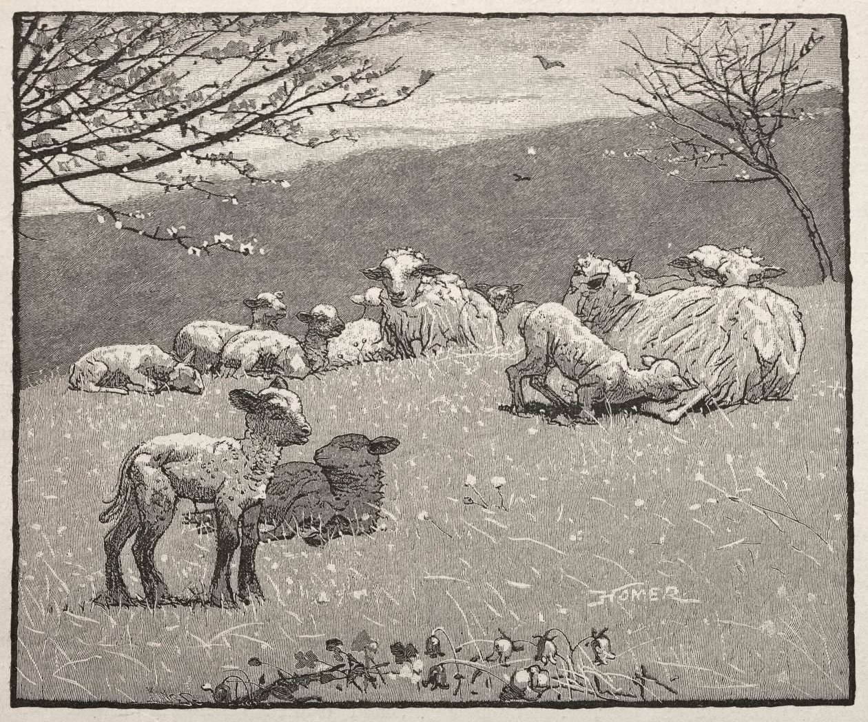 Vårlam, 1880. av Winslow Homer