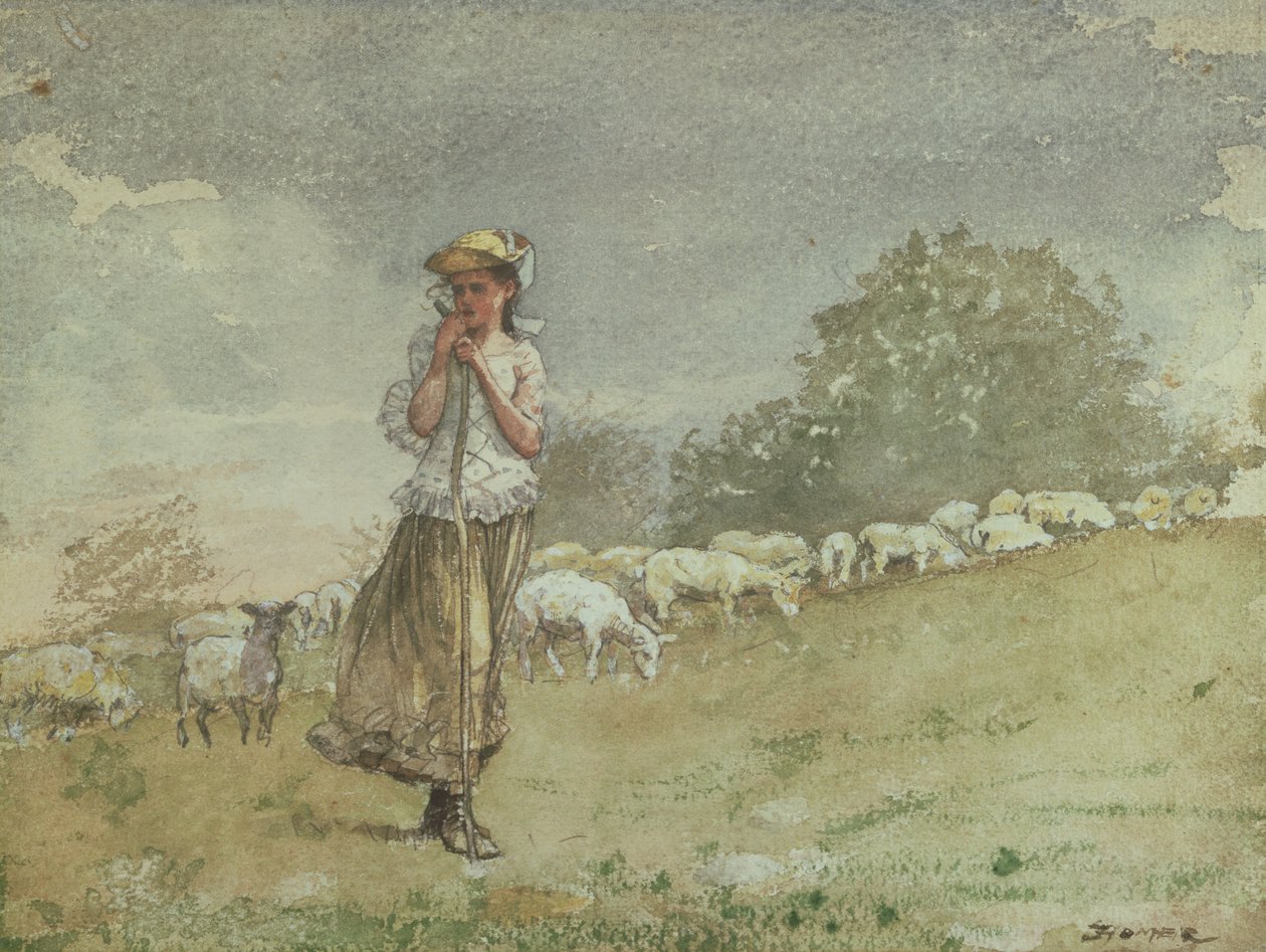 Ting Sheep, Houghton Farm, ca. 1878-79 av Winslow Homer