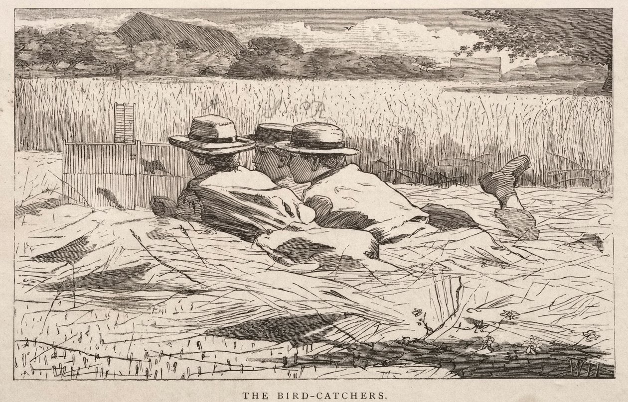 Fuglefangerne, 1867. av Winslow Homer