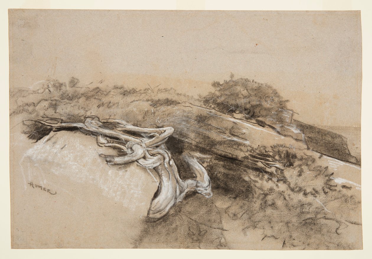 Trerøtter, Prouts hals av Winslow Homer