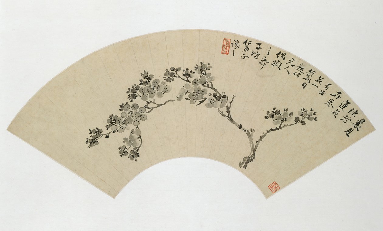 Aprikos, 1800-tallet. av Wu Xizai