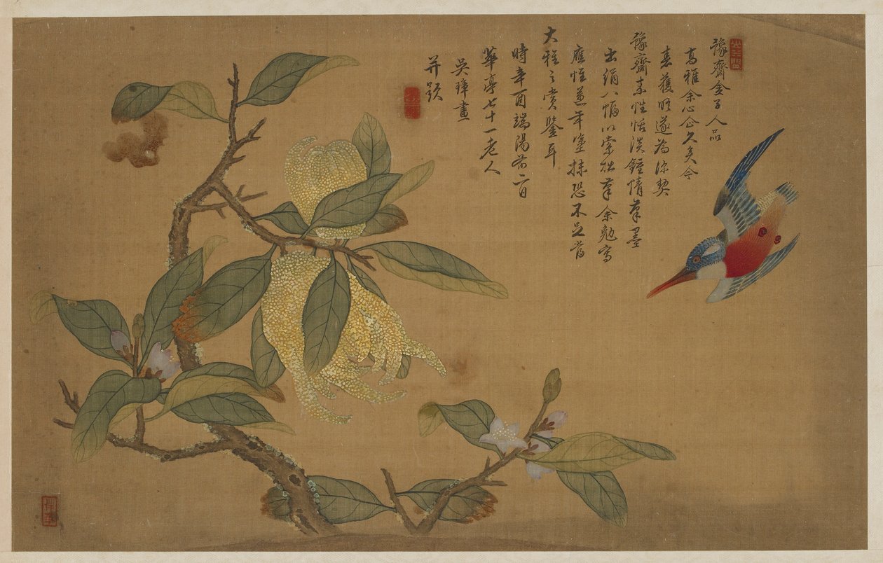 Fugl, frukt og blomster av Wu Zhang