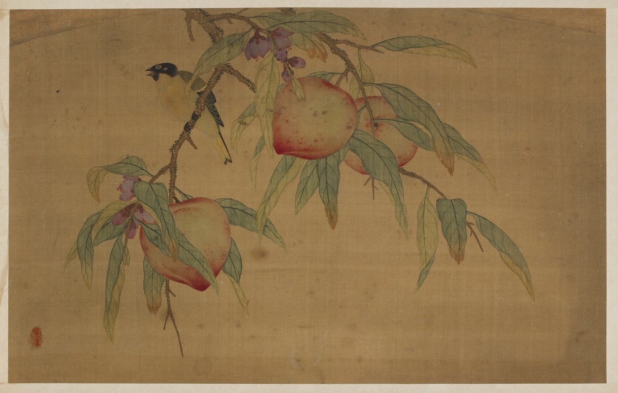Fugl, frukt og blomster av Wu Zhang
