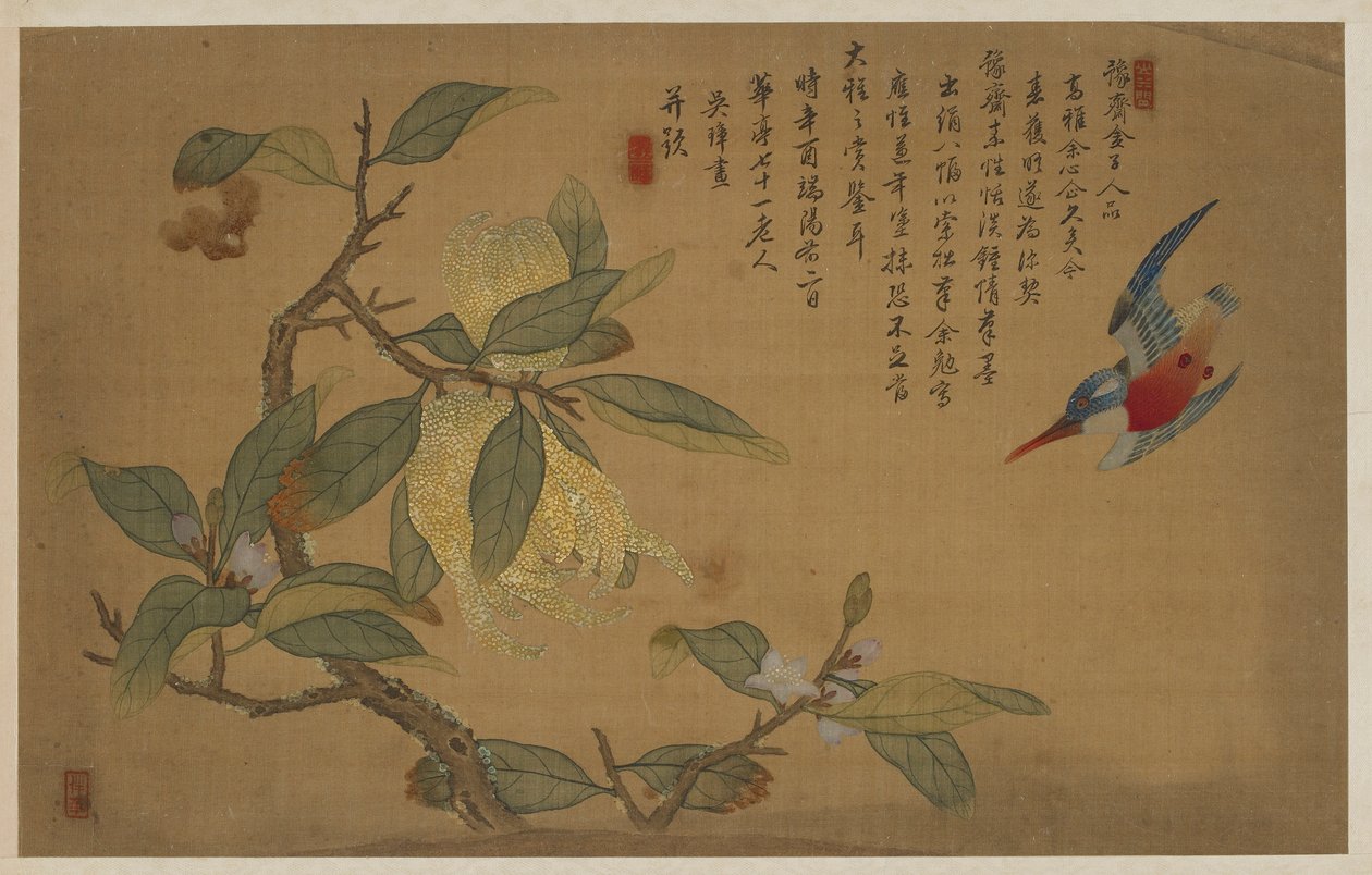 Fugl, frukt og blomster, Qing-dynastiet, 1741. av Wu Zhang
