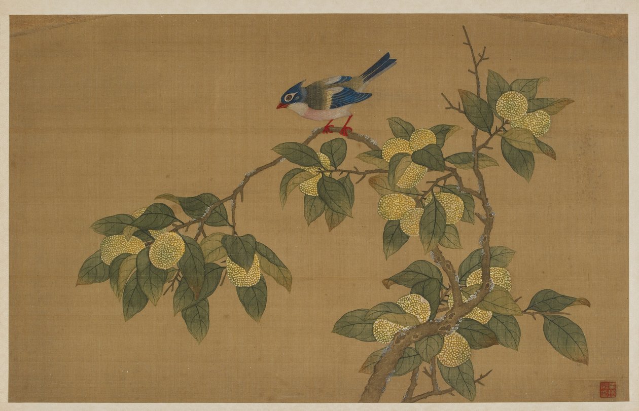 Fugl og frukt av Wu Zhang