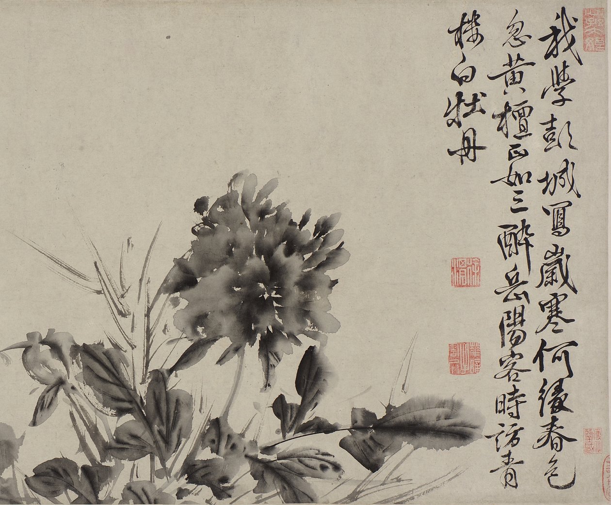 Tolv blomster og dikt, Ming-dynastiet (blekk på papir) av Xu Wei