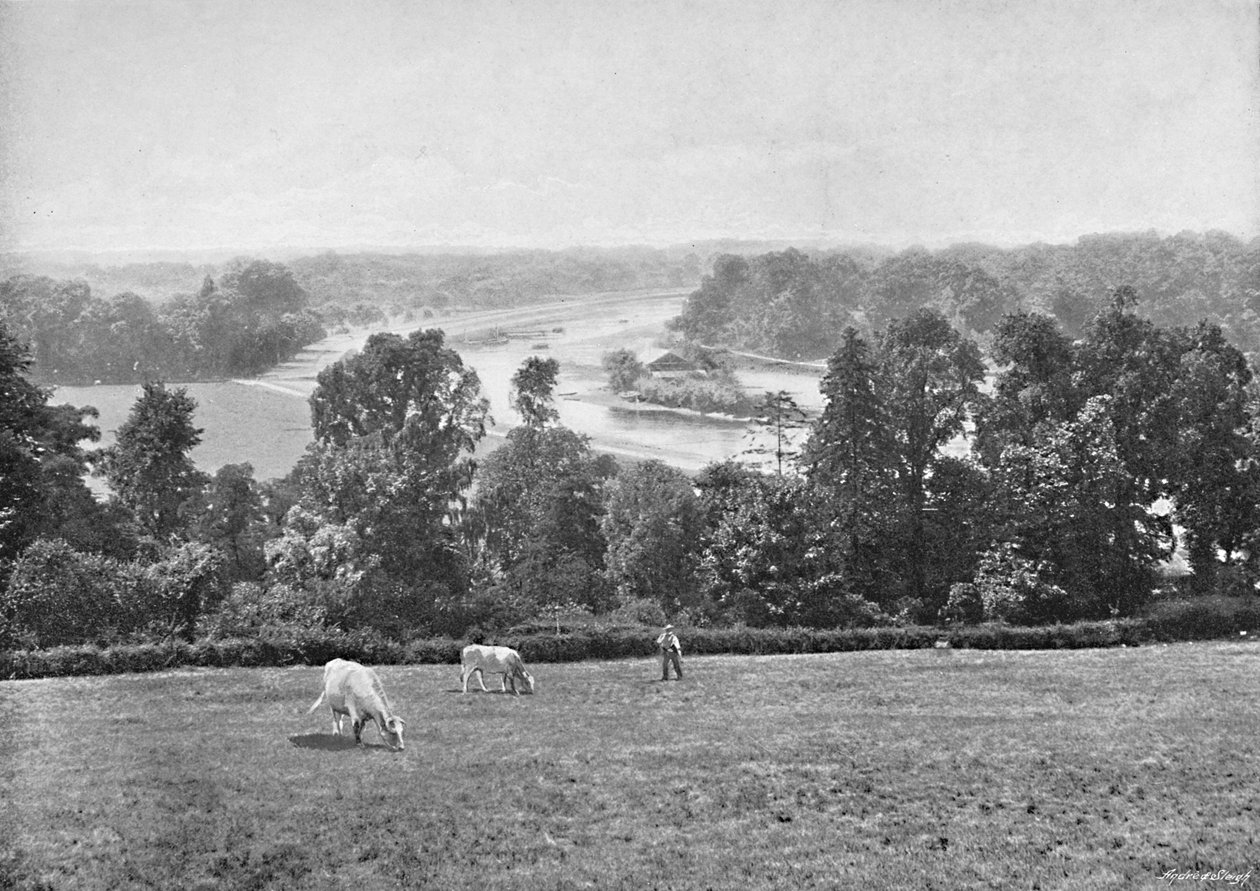 Fra Richmond Hill, Surrey, c1896 av York and Son