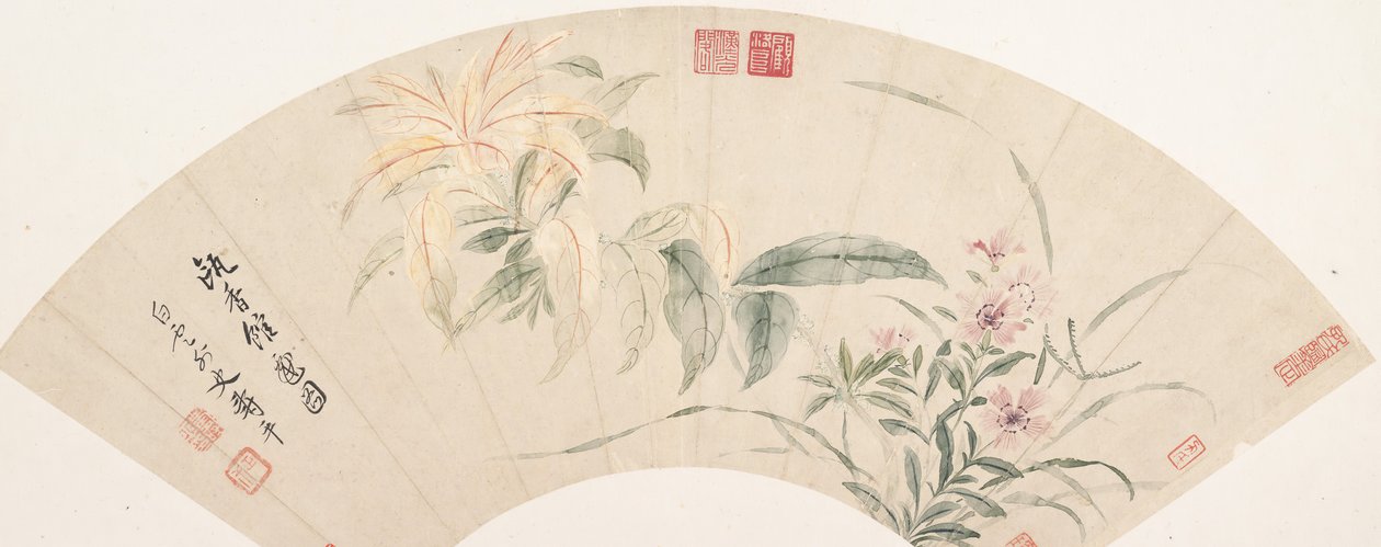 Nelliker og Amaranthus. av Shouping Yun