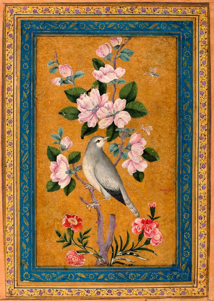 Fugl som sitter på en blomstrende gren, 1696. av Yusuf Zaman