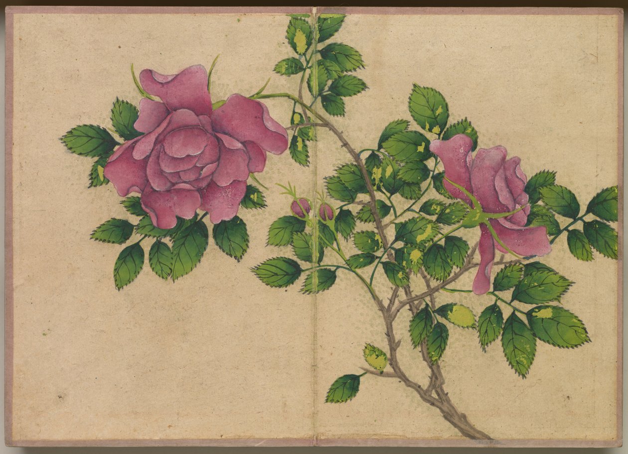 Desk Album: Flower and Bird Paintings (Rose)   1306849   no       norwegian Successfully Translated  Original: Portrait of a young nobleman Translat: Portrait of a young nobleman 1404322 no norwegian Successfully Translated Original: Ruïnes van de Château  av Zhang Ruoai