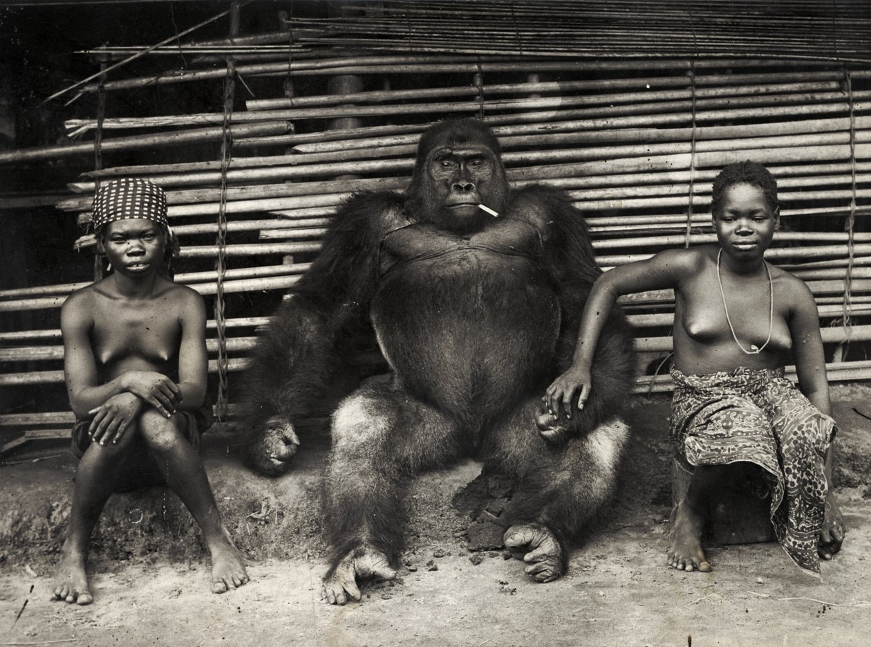 Gorilla (gelatinsølvtrykk) av Hippolyte Lalaise Devéria