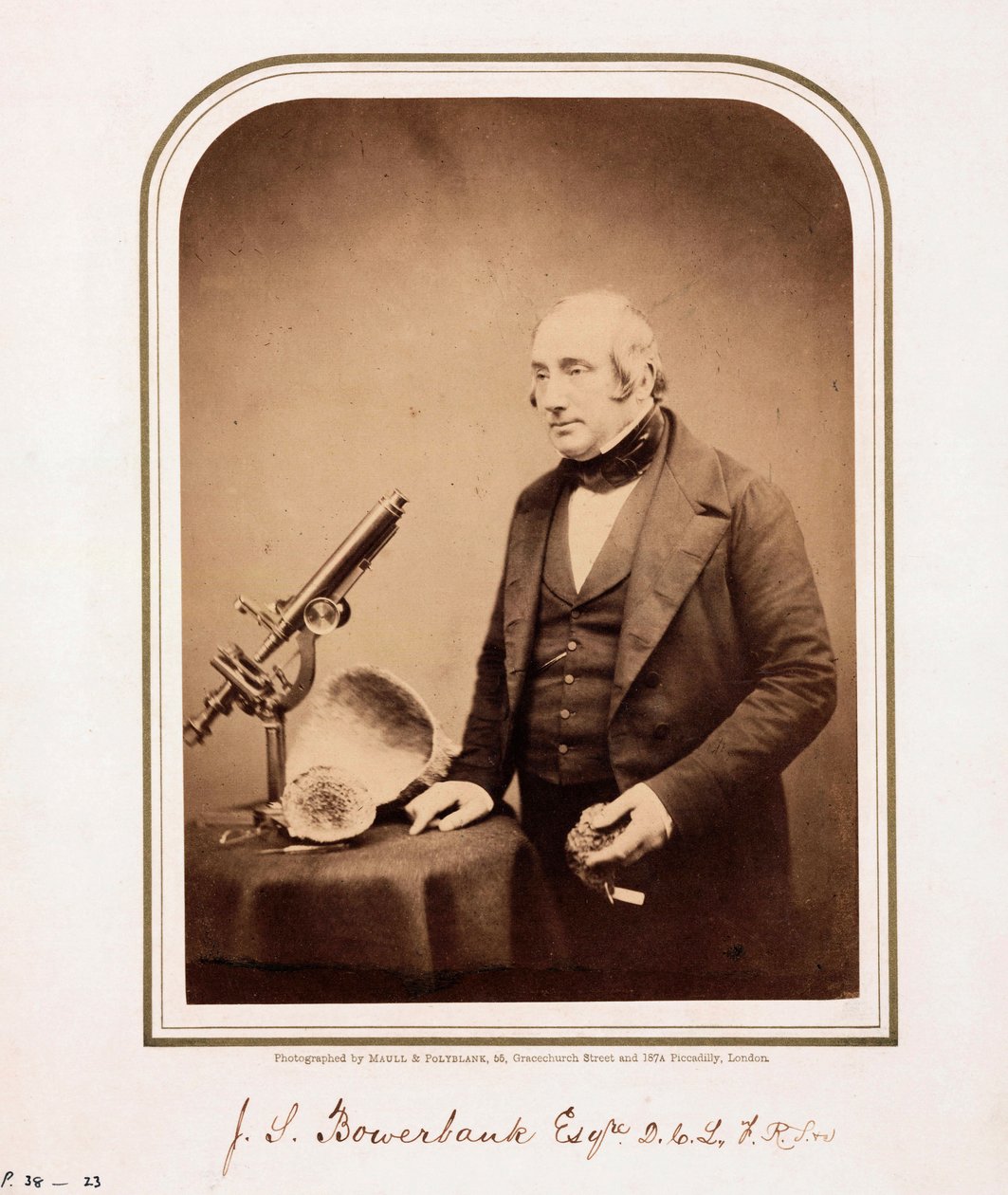 James Scott Bowerbank , britisk geolog av Ferdinand Georg Waldmuller