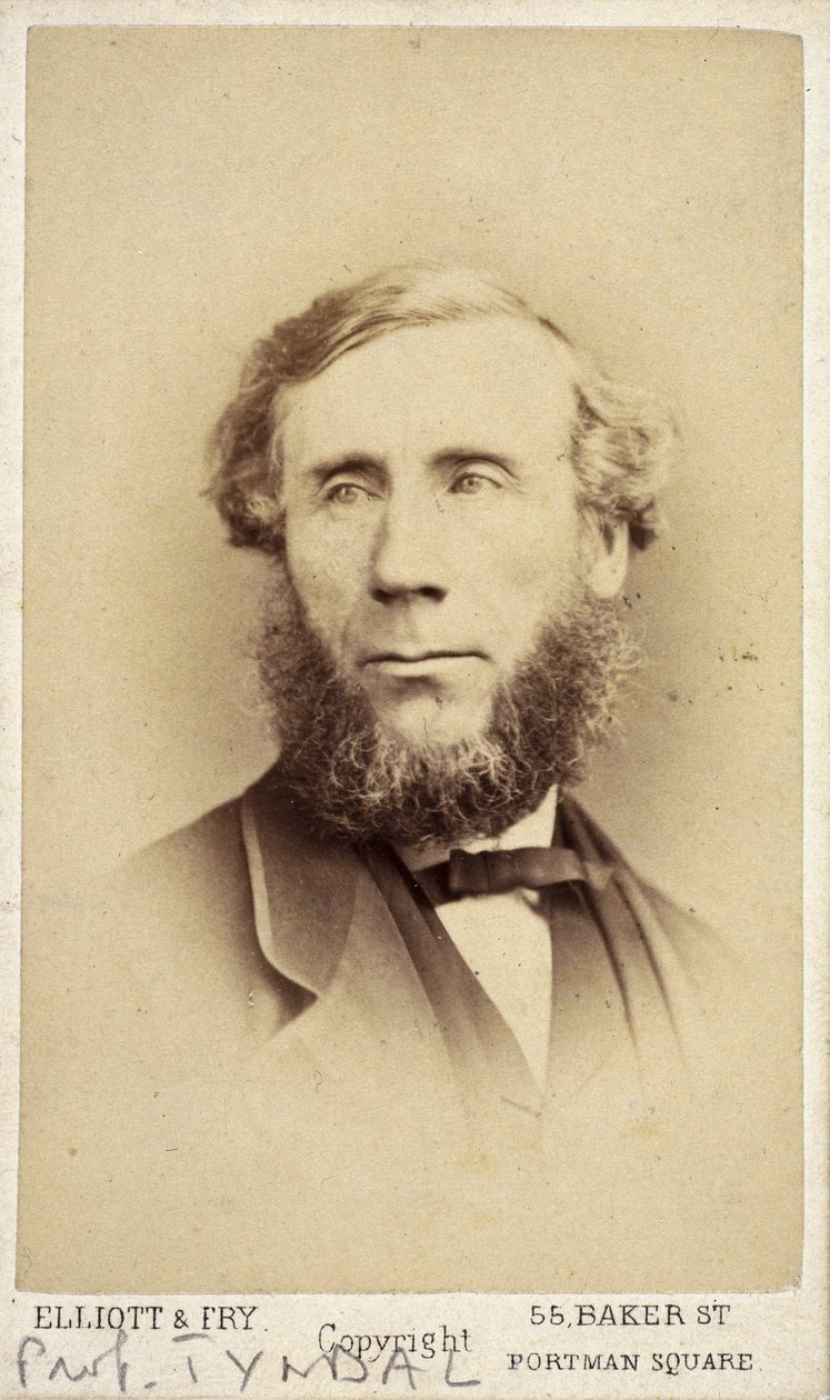 John Tyndall , irsk fysiker, ca 1875 av Frederick (attr. to) Barnard