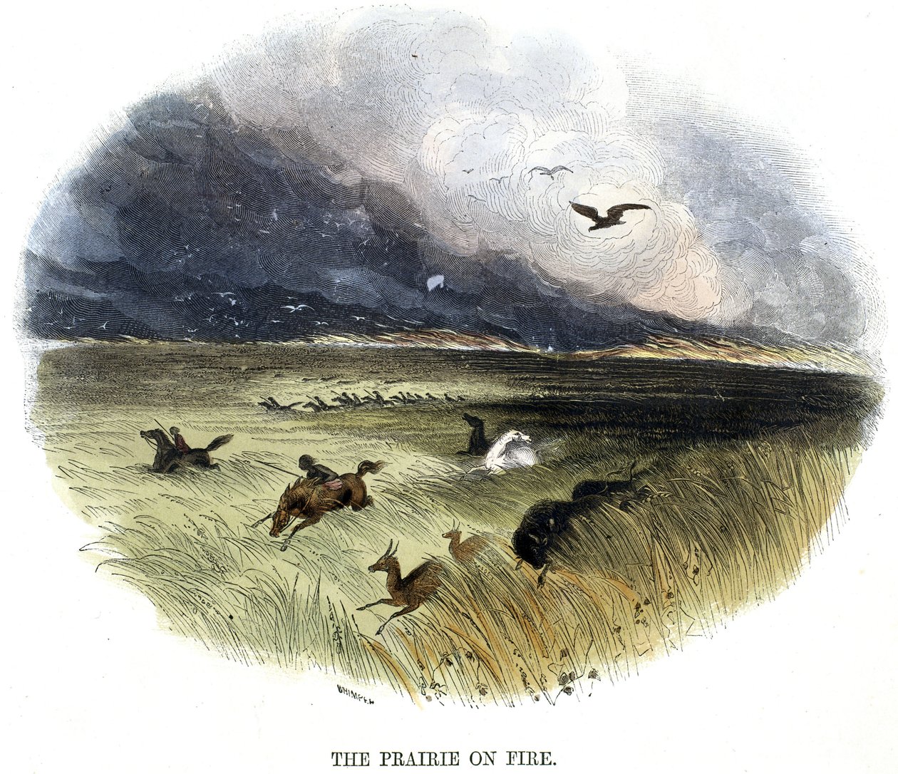 Prairie on Fire' av Frederick (attr. to) Barnard