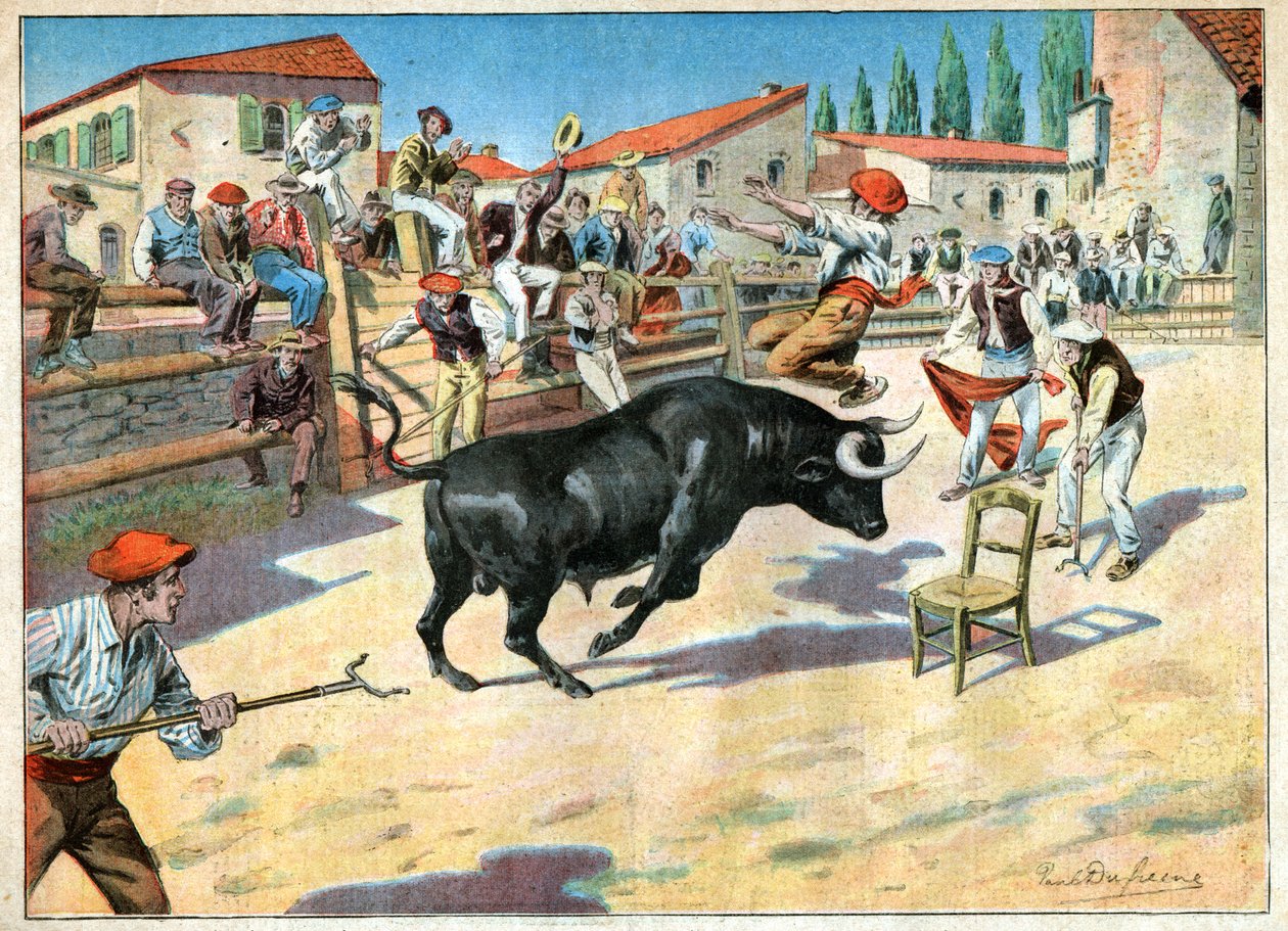 Okser i Camargue. Tyrefekting i Camargue. av John Pardon