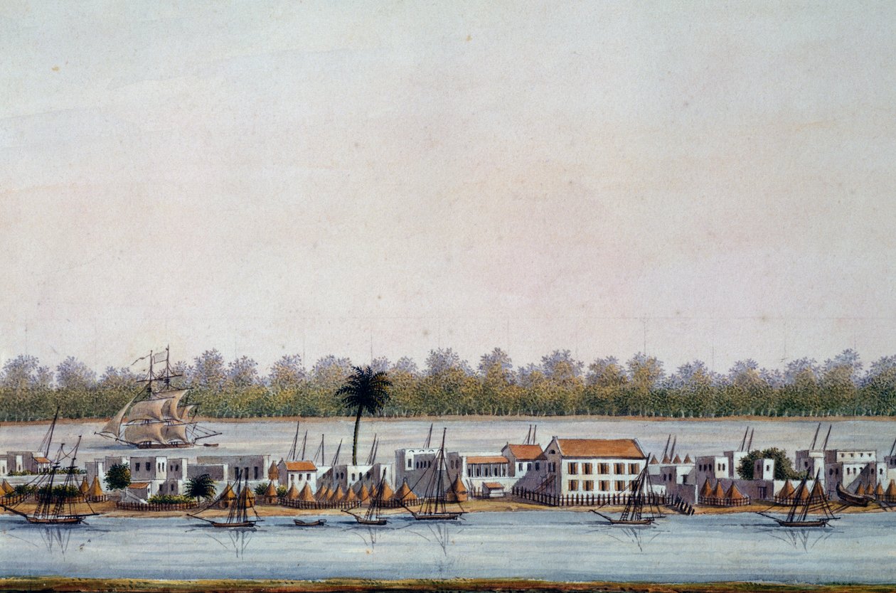 Utsikt over St Louis, Senegal av William Walcutt