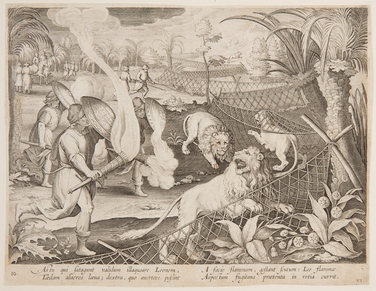 Løvefelle av after Jan van der Straet, called Stradanus