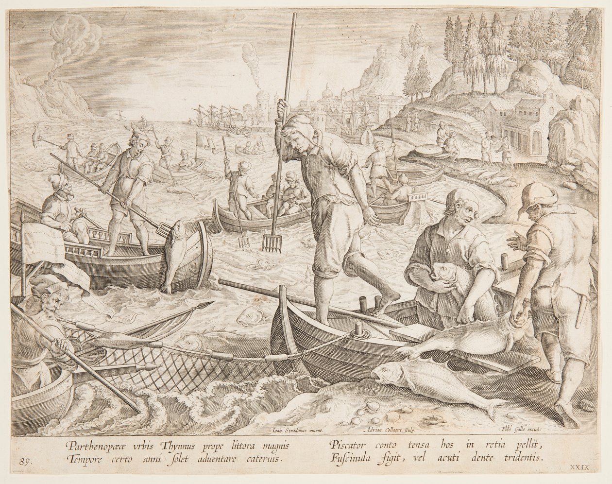 Tunfiske av after Jan van der Straet, called Stradanus