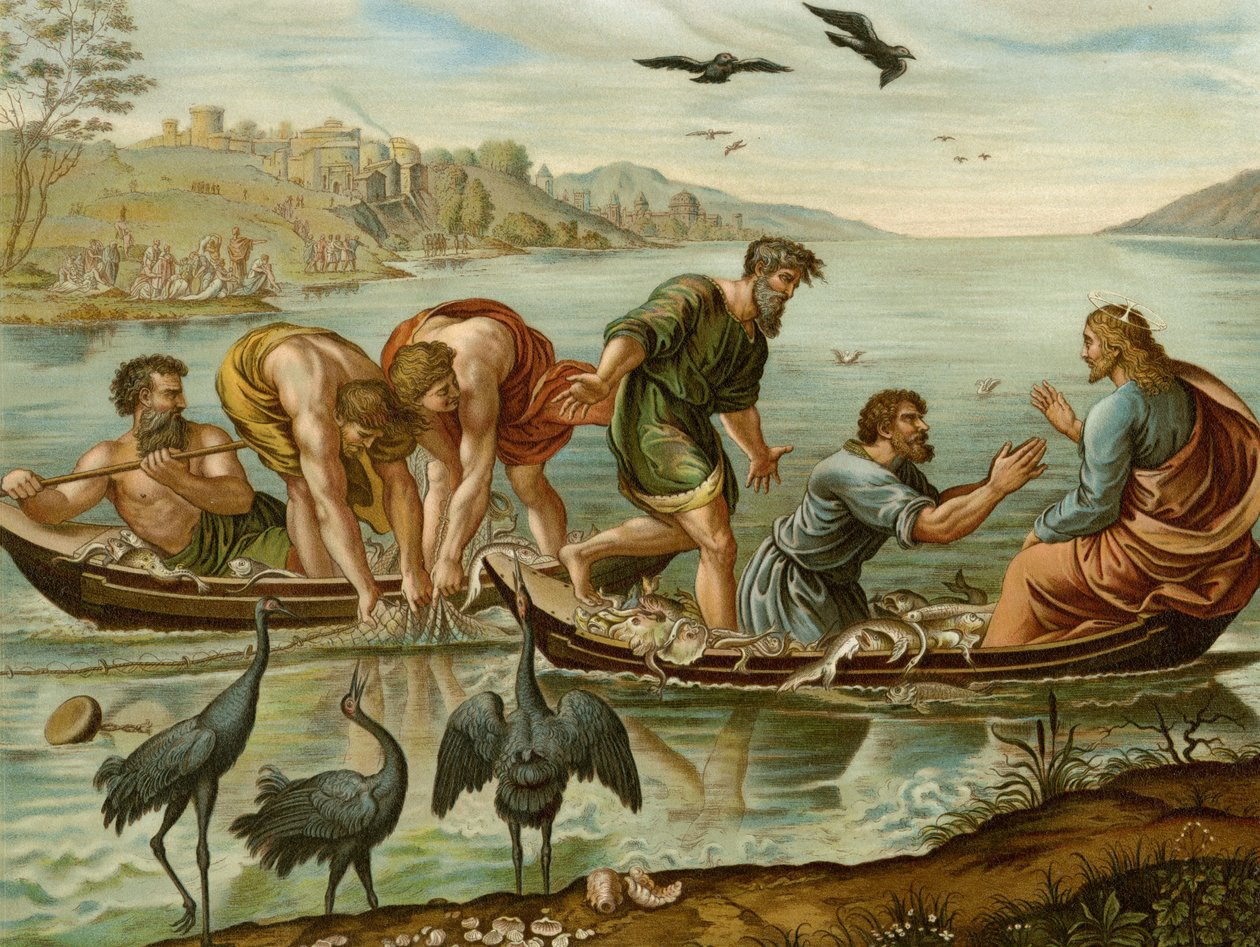 Det mirakuløse utkastet av after Raphael