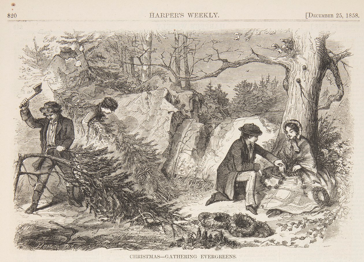 Jul – Samling av eviggrønne planter av after Winslow Homer