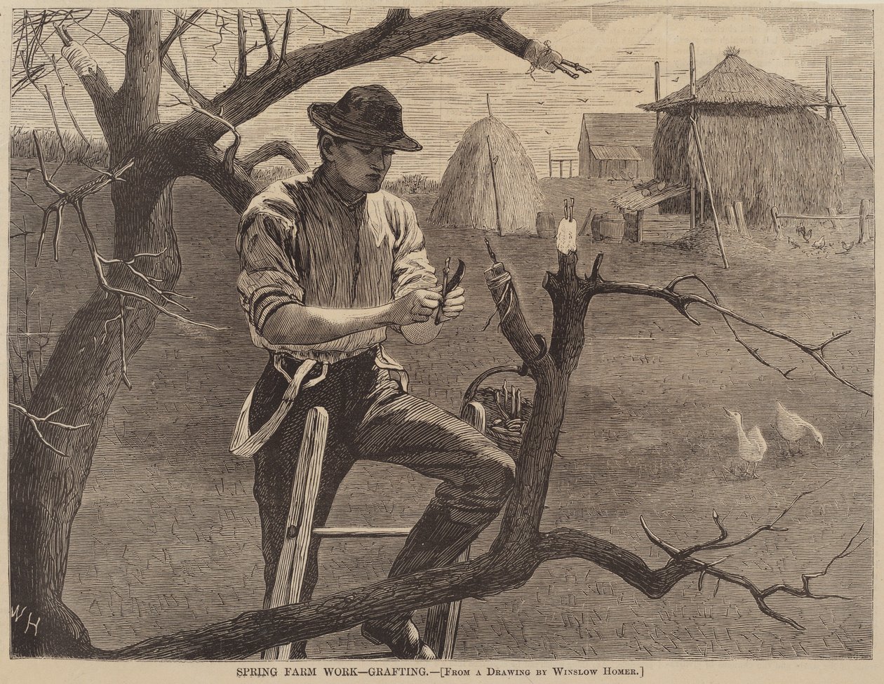 Spring Farm Work - Poding av after Winslow Homer