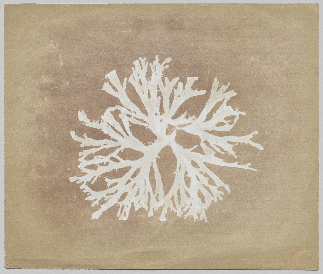 Alger av circle of William Henry Fox Talbot