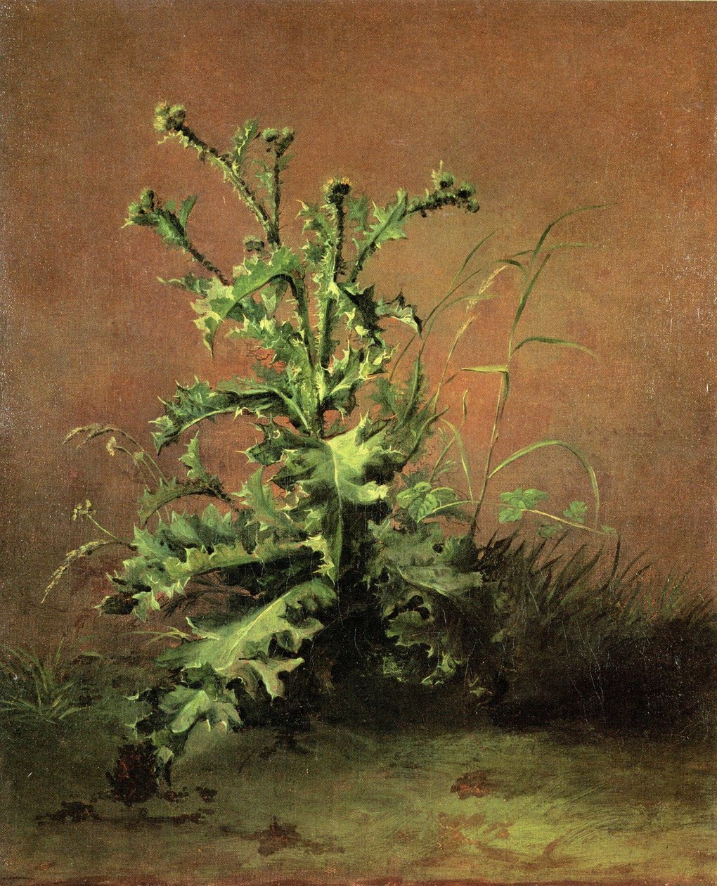 Chardons av Édouard Manet