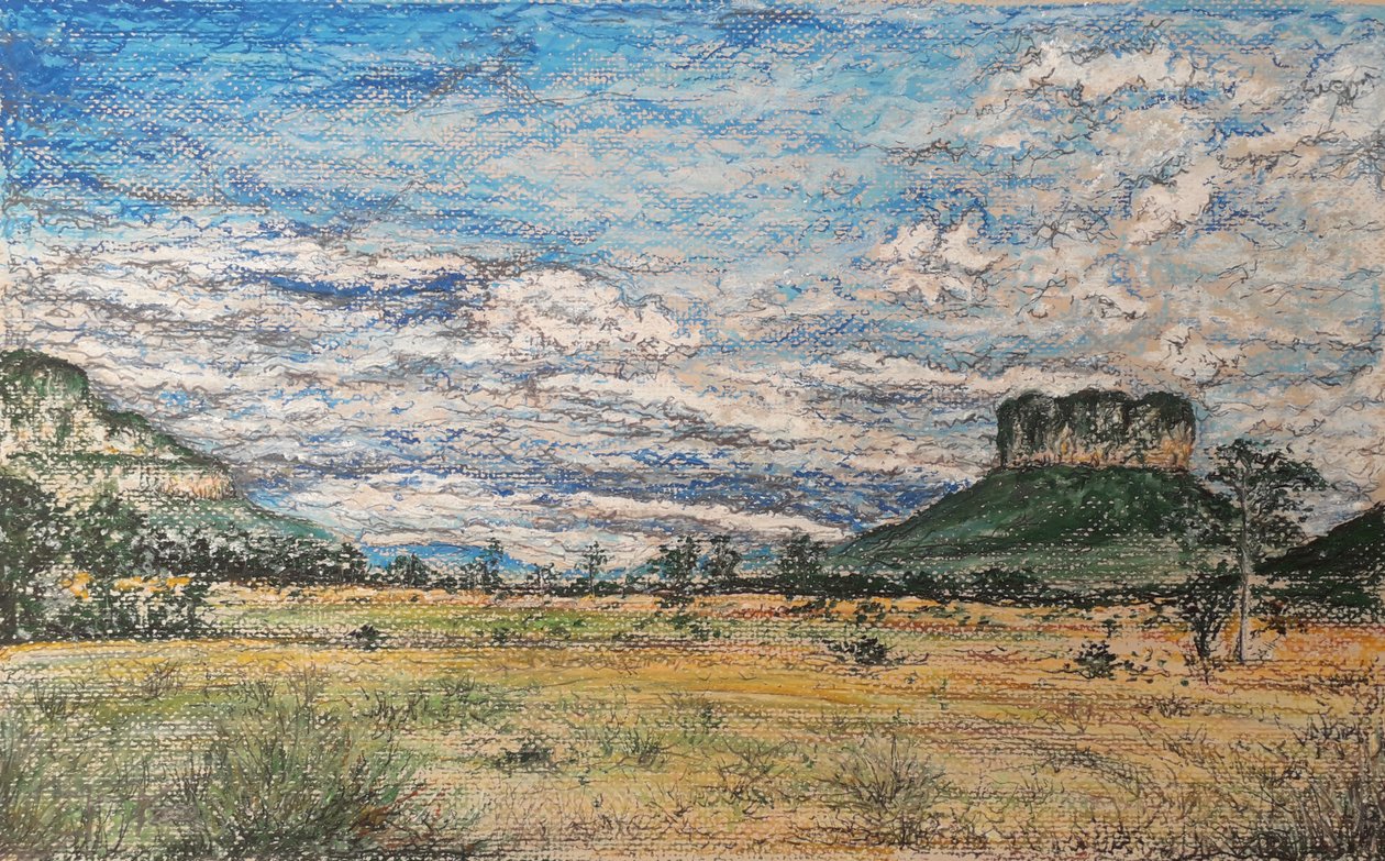 GRAN SABANA VENEZUELA av miguelmendez_art.ve