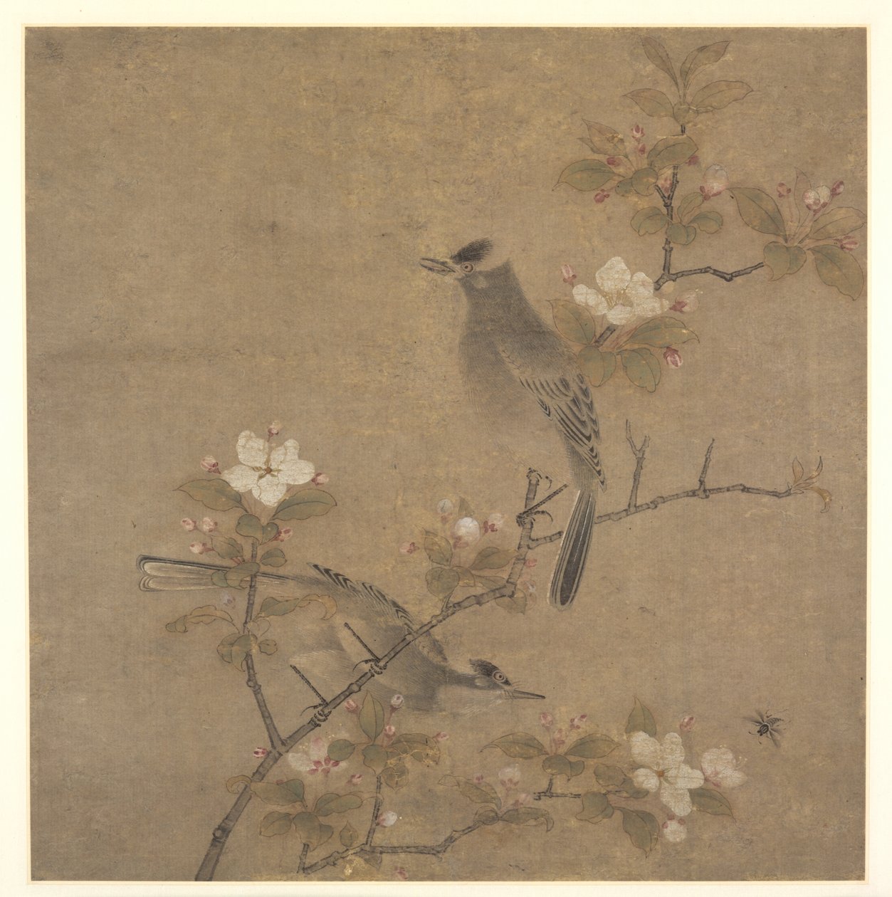 Blomster og fugler av style of Qian Xuan