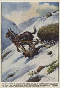 Det neurasteniske muldyret