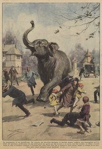 Gangen til en pachyderm