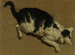 Katt ovenfra (børstetegning)