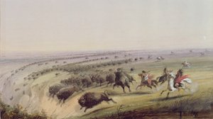 Jakt på bøffel, 1837