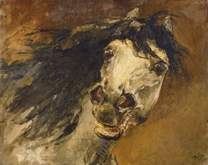 Hodet på en hest