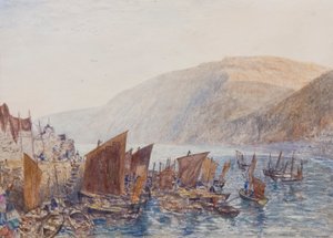 Clovelly havn
