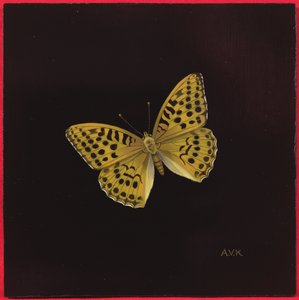 Sølvvasket fritillary sommerfugl, 2000