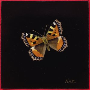 Liten skilpaddeskjell sommerfugl, 1998