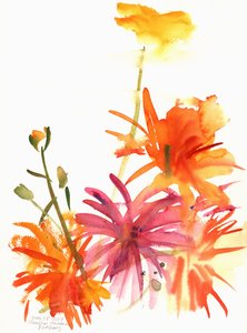 Ringblomster og andre blomster, 2004